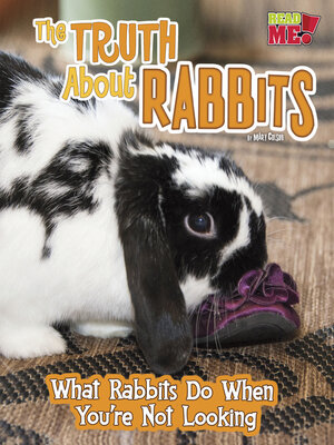 cover image of The Truth about Rabbits